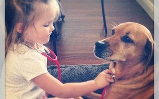 How to Handle Pet Emergencies Part 1