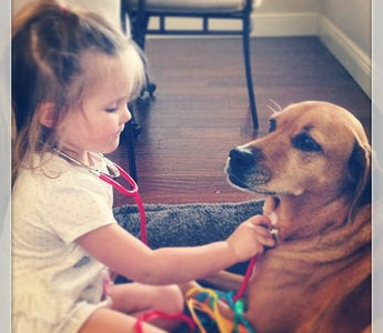 How to Handle Pet Emergencies Part 1