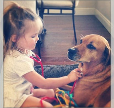 How to Handle Pet Emergencies Part 1