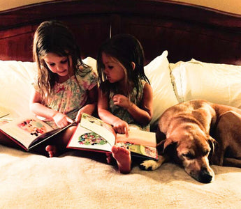 Top Health Benefits of Sharing a Life with Dogs