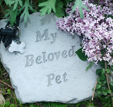 A Dog Is Never “Just a Dog”, Grieving the Loss of a Beloved Pet