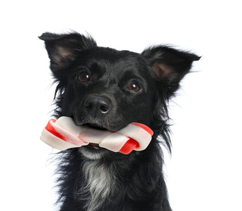 Unwrapping the Truth About Rawhide