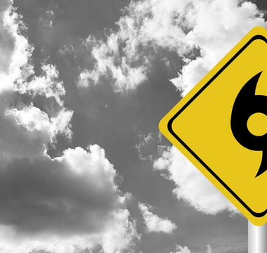 Post-Storm Pet Care: How to Keep Your Dogs and Cats Safe After the Storm