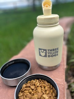 3 in 1 Stainless Steel Water Bottle