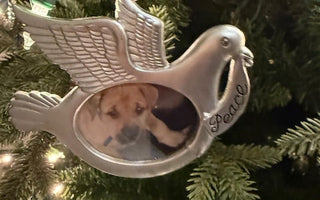 When the Holidays Hurt: Coping With Pet Loss