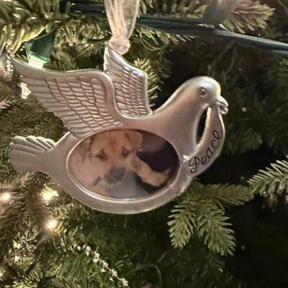 When the Holidays Hurt: Coping With Pet Loss