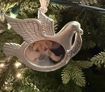 When the Holidays Hurt: Coping With Pet Loss