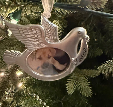 When the Holidays Hurt: Coping With Pet Loss