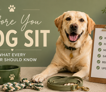 What to Know Before You Dog Sit Someone’s Dog
