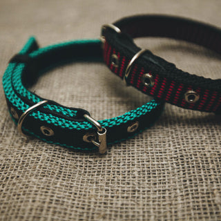 Collar Suffocation in Dogs: The Silent Risk Hiding in Plain Sight