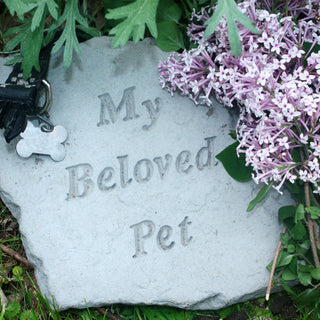 A Dog Is Never “Just a Dog”, Grieving the Loss of a Beloved Pet