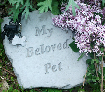 A Dog Is Never “Just a Dog”, Grieving the Loss of a Beloved Pet