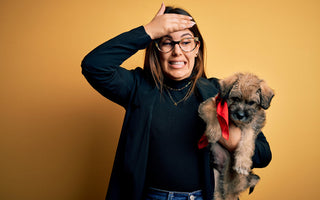 10 Mistakes New Puppy Owners Make and How to Avoid Them