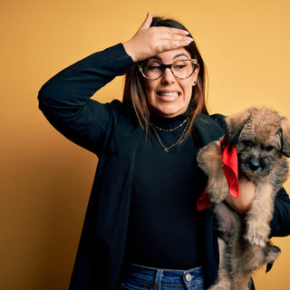 10 Mistakes New Puppy Owners Make and How to Avoid Them