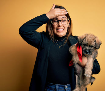 10 Mistakes New Puppy Owners Make and How to Avoid Them