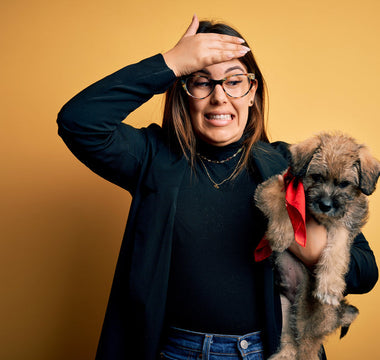 10 Mistakes New Puppy Owners Make and How to Avoid Them