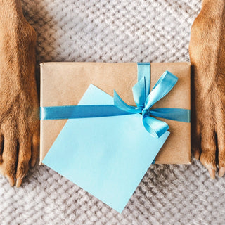 Best Birthday Gifts for Dogs: Ideas for Every Kind of Pup