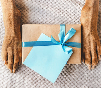 Best Birthday Gifts for Dogs: Ideas for Every Kind of Pup