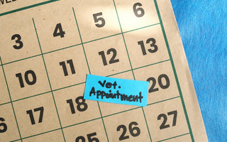 How Often Should a Puppy Go to the Vet?