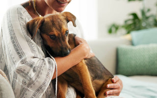 Why Fostering a Dog Saves Lives