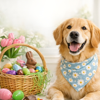 How to Keep Your Dog Safe This Easter