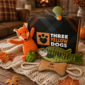 Fall Box