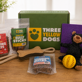Three Yellow Dogs welcome box with training treats, bully sticks, a rope toy, and a plush bear for new subscribers