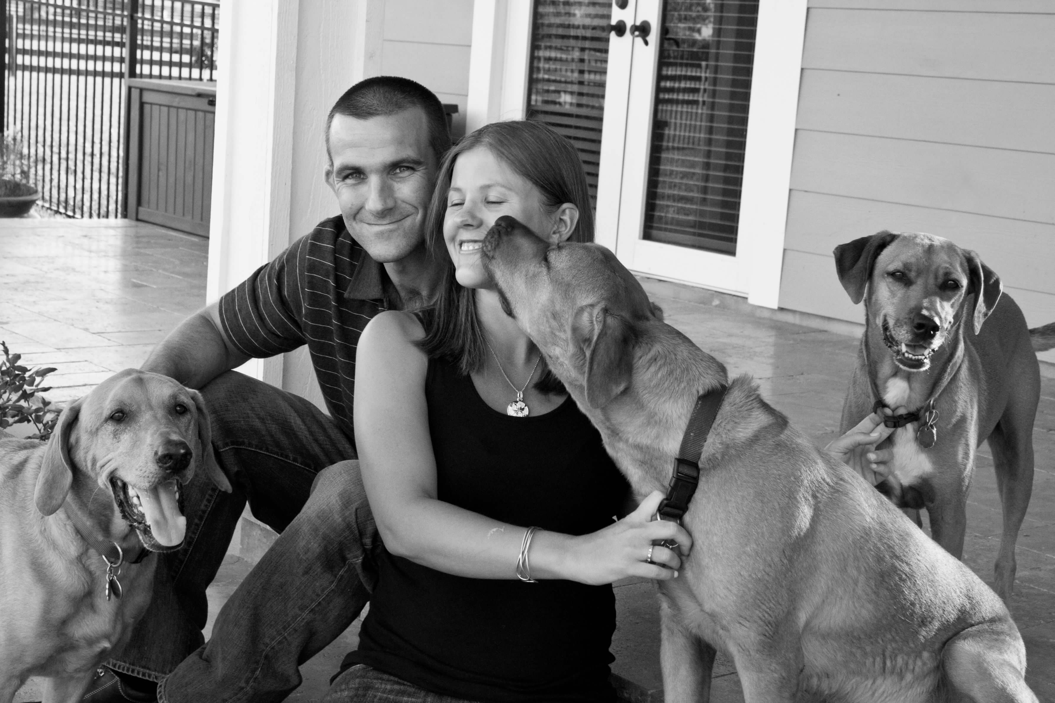 Our Story Three Yellow Dogs