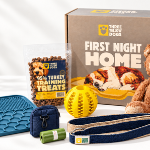 First Night Box essentials in bright daylight, with toys, treats, leash, lick mat, poop bag dispenser and bags