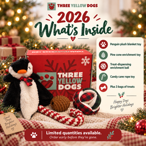 Christmas Box
