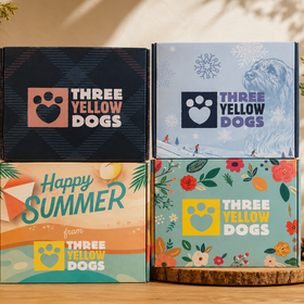 Stack of four seasonal Three Yellow Dogs subscription boxes in fall, winter, summer, and spring designs