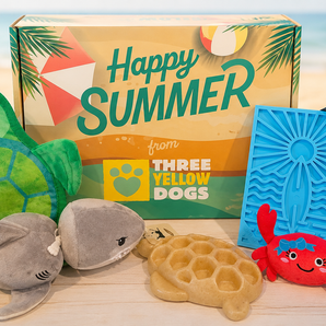 Summer Box (One-Time Purchase)
